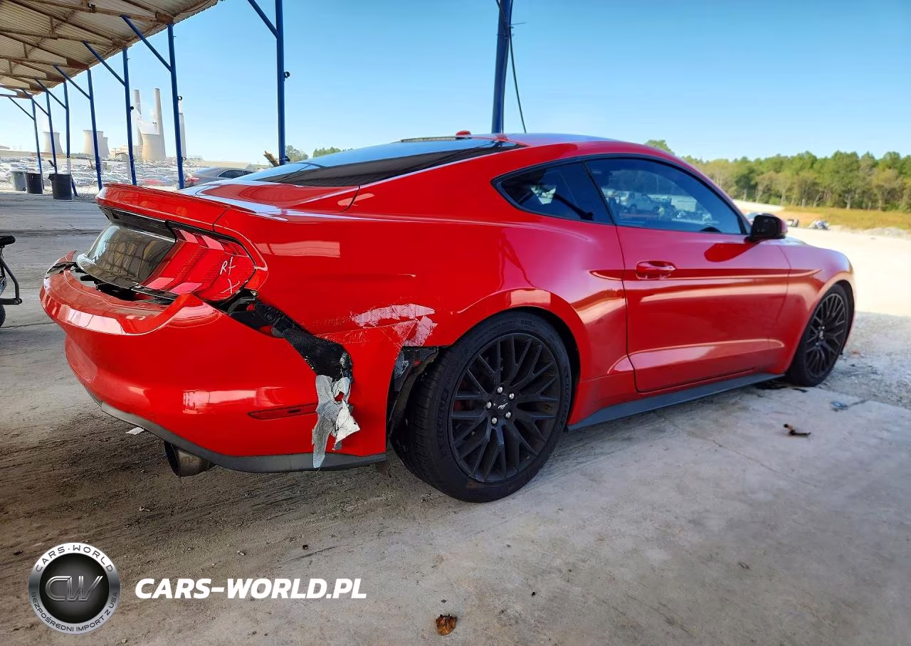 2019 Ford Mustang VIN:1FA6P8TH0K5172496 - 3