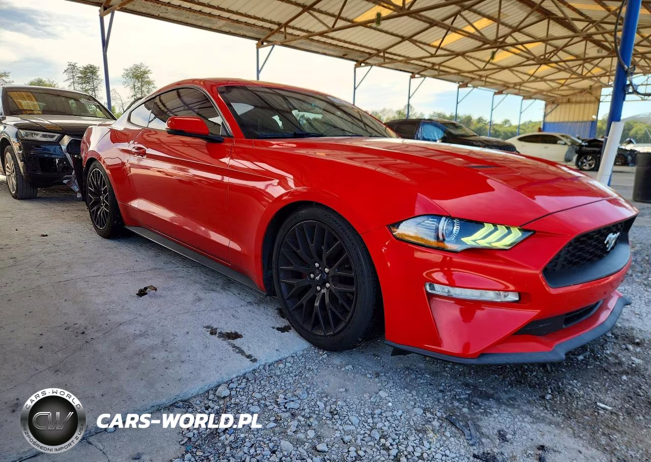 2019 Ford Mustang VIN:1FA6P8TH0K5172496 - 4