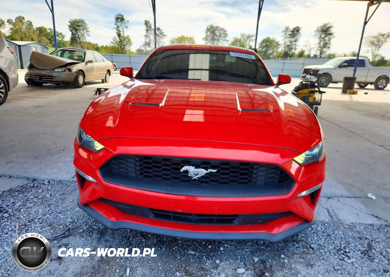 2019 Ford Mustang VIN:1FA6P8TH0K5172496 - 5
