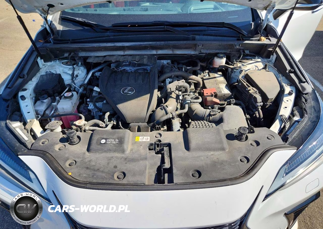 2024 Lexus Nx 350 F Sport Handling VIN:2T2KGCEZ1RC032595 - 12