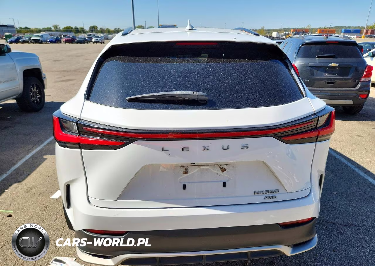 2024 Lexus Nx 350 F Sport Handling VIN:2T2KGCEZ1RC032595 - 6