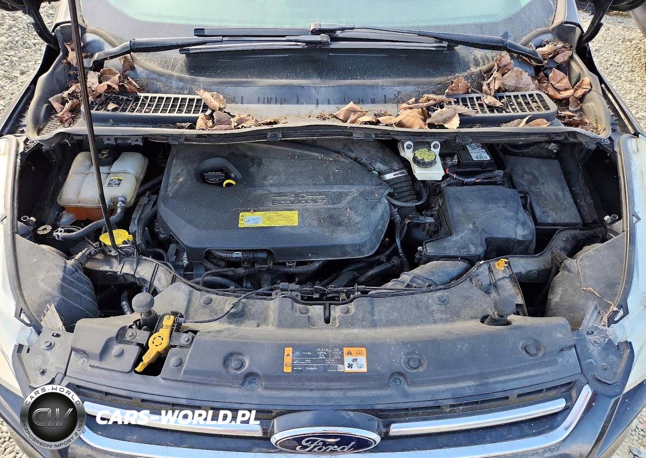 2013 Ford Escape Sel VIN:1FMCU9HX8DUC43878 - 12