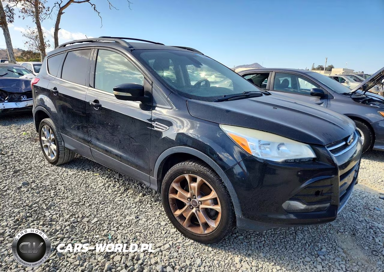 2013 Ford Escape Sel VIN:1FMCU9HX8DUC43878 - 4
