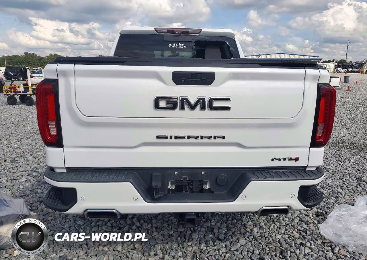 2020 GMC Sierra K1500 At4 VIN:3GTP9EEL6LG247611 - 6