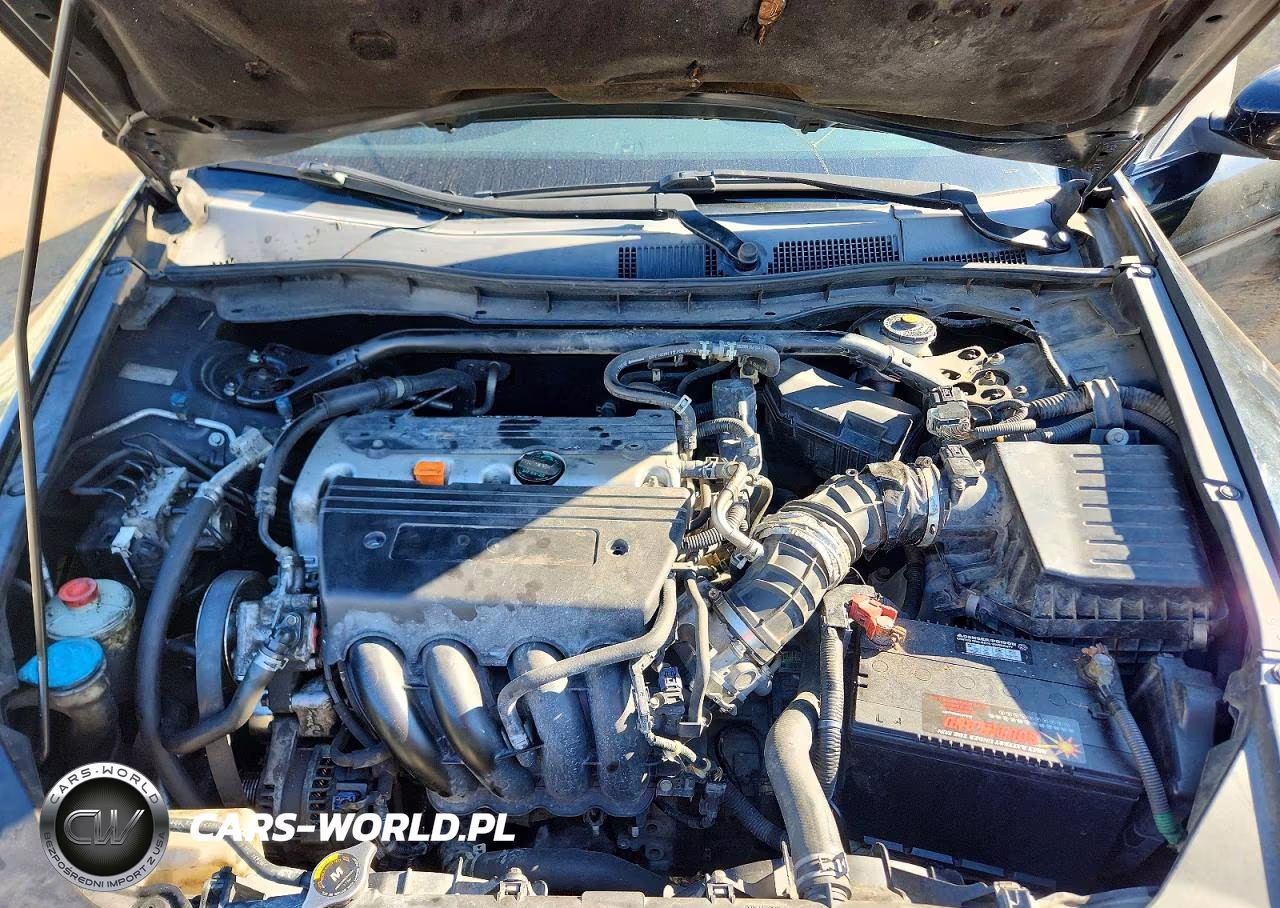 2009 Honda Accord Exl VIN:1HGCS12859A021550 - 11