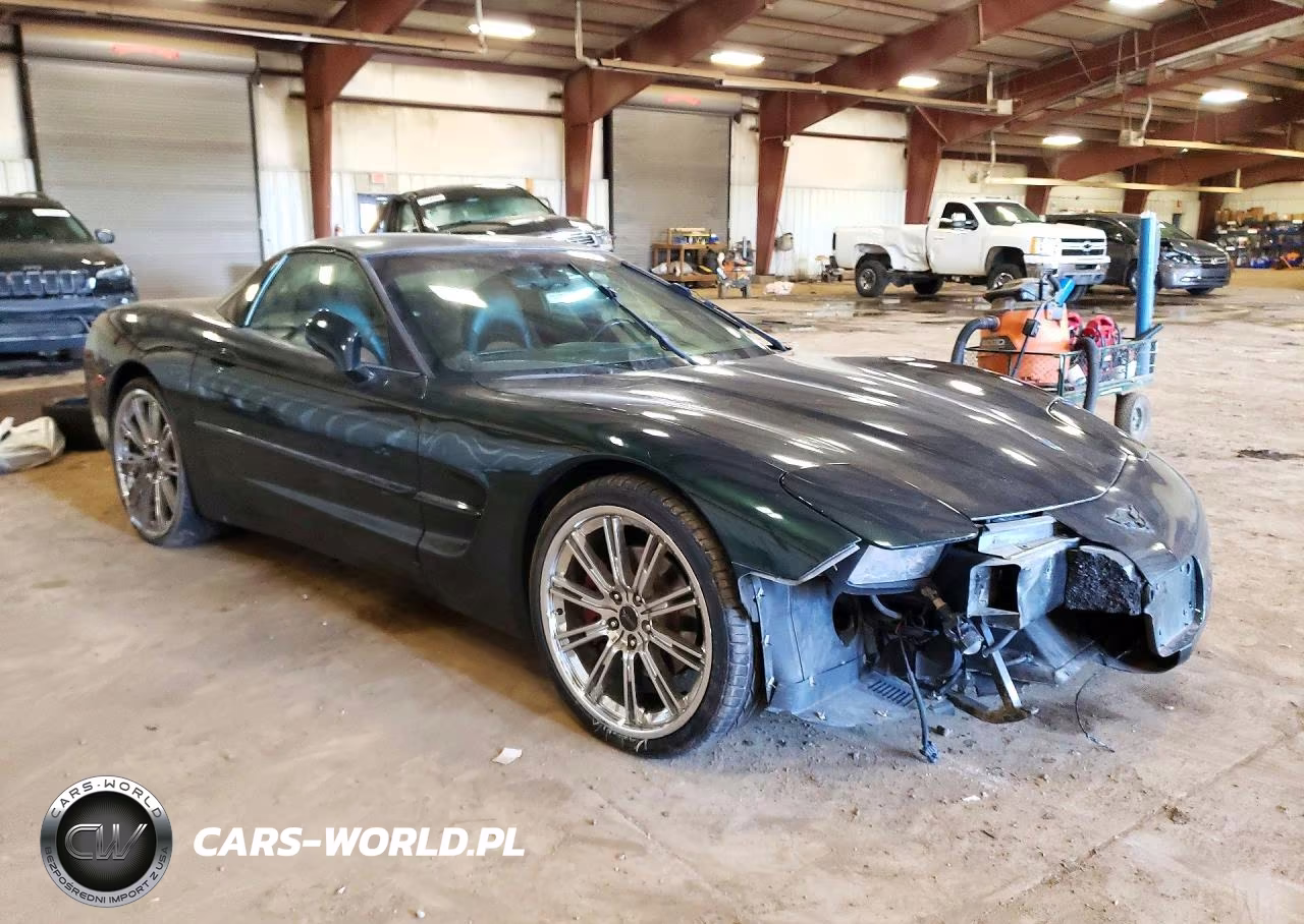 2000 Chevrolet Corvette VIN:1G1YY22G4Y5113166 - 4