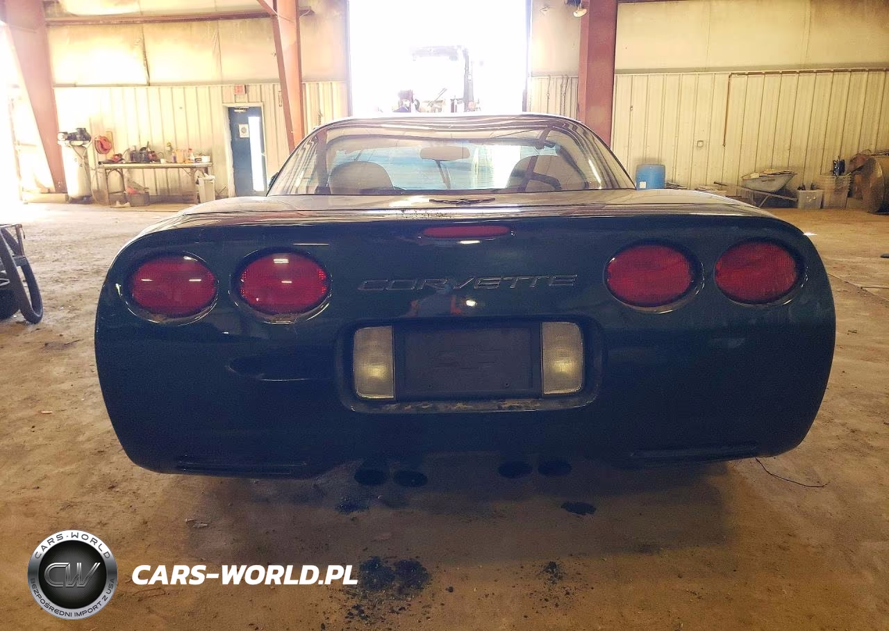 2000 Chevrolet Corvette VIN:1G1YY22G4Y5113166 - 6