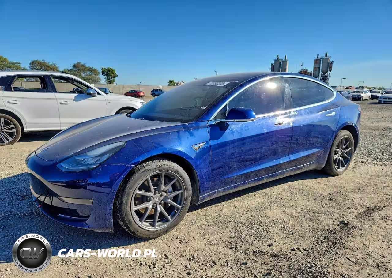 2019 Tesla Model 3