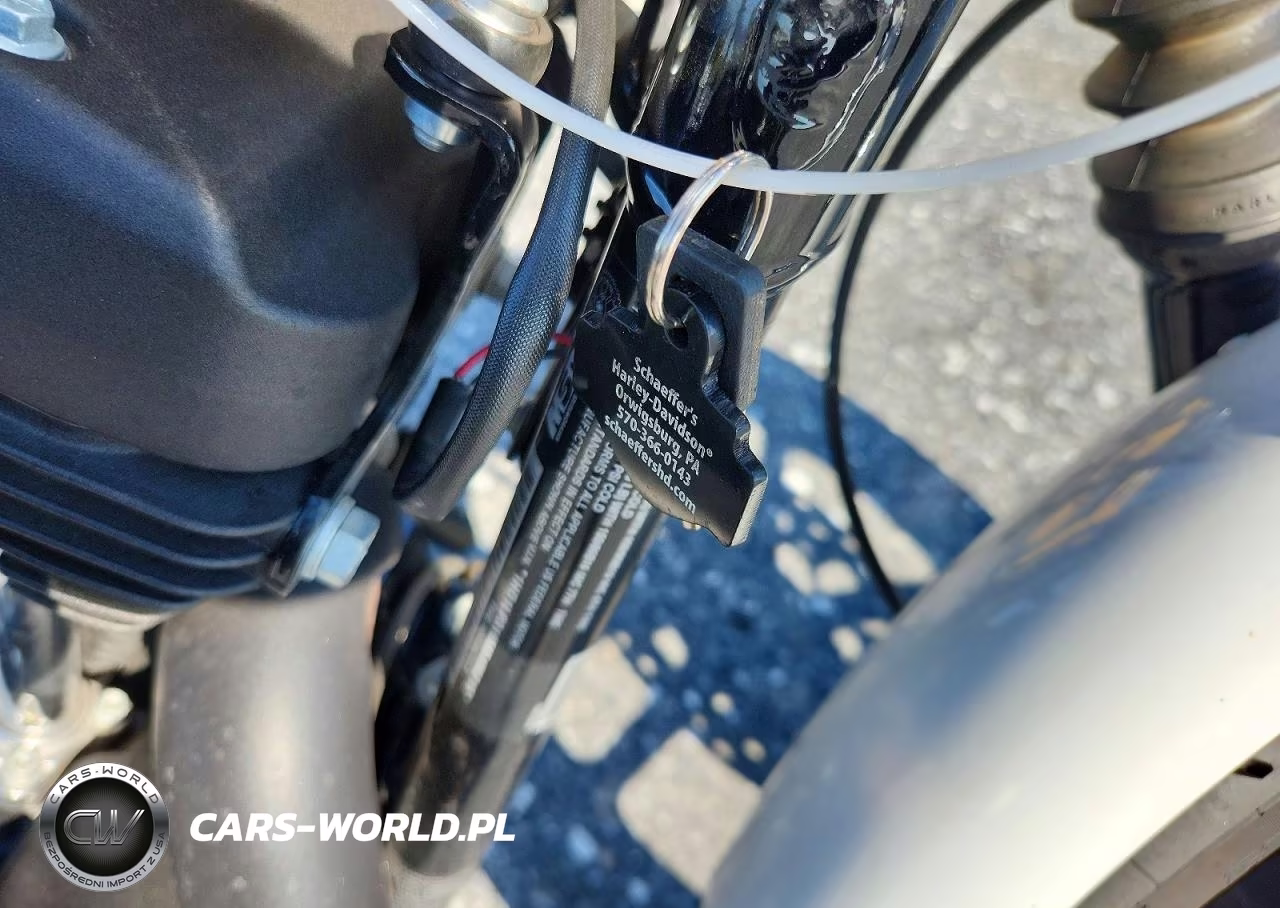 2021 Harley-Davidson Xl1200 Ns VIN:1HD1LP319MB406215 - 8