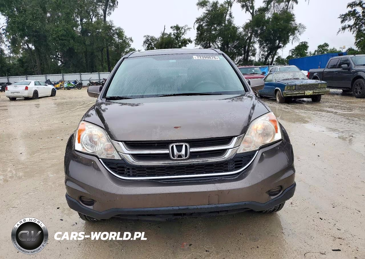 2010 Honda Cr-V Exl VIN:5J6RE3H79AL049591 - 5