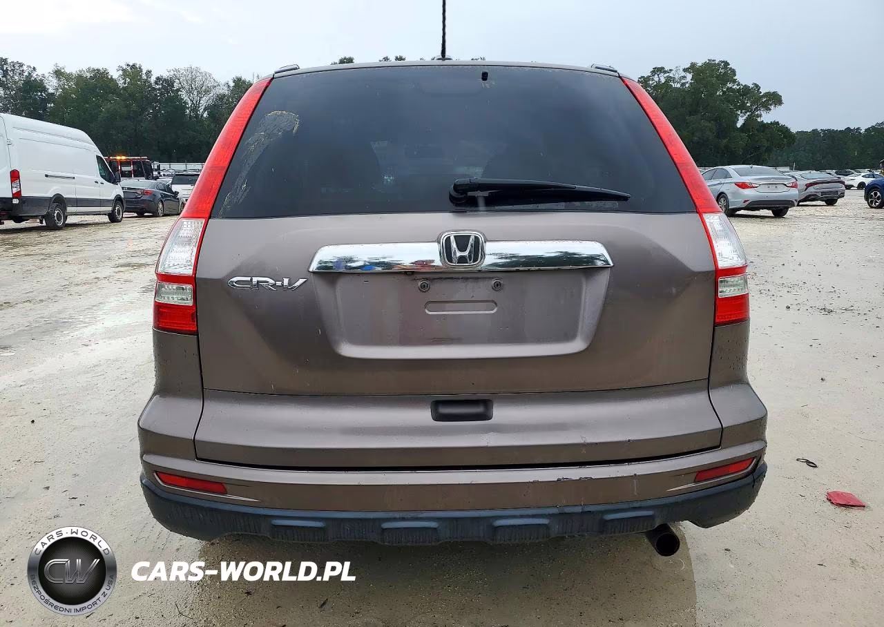 2010 Honda Cr-V Exl VIN:5J6RE3H79AL049591 - 6