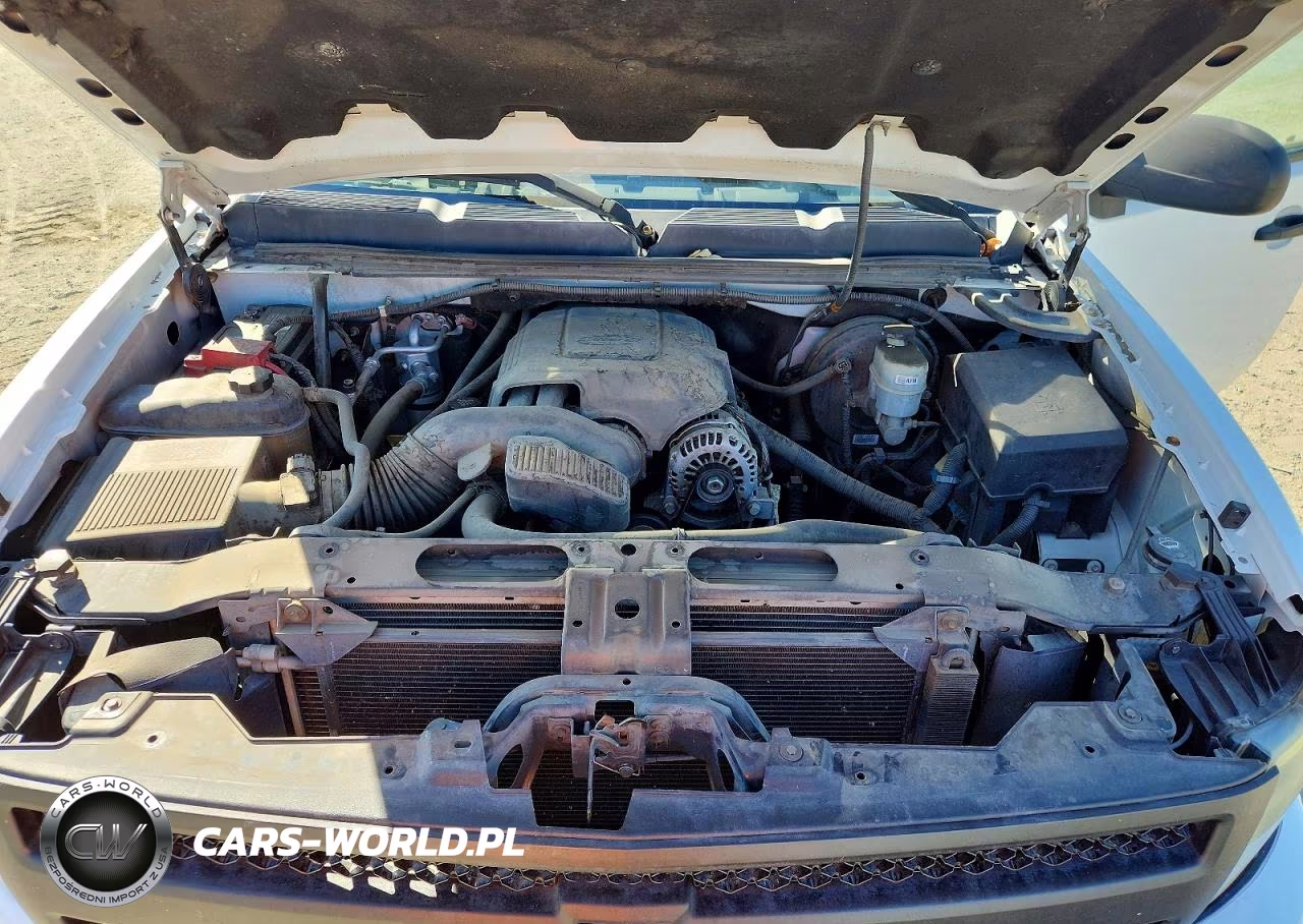 2010 Chevrolet Silverado C1500 VIN:3GCRCPEA3AG201574 - 11