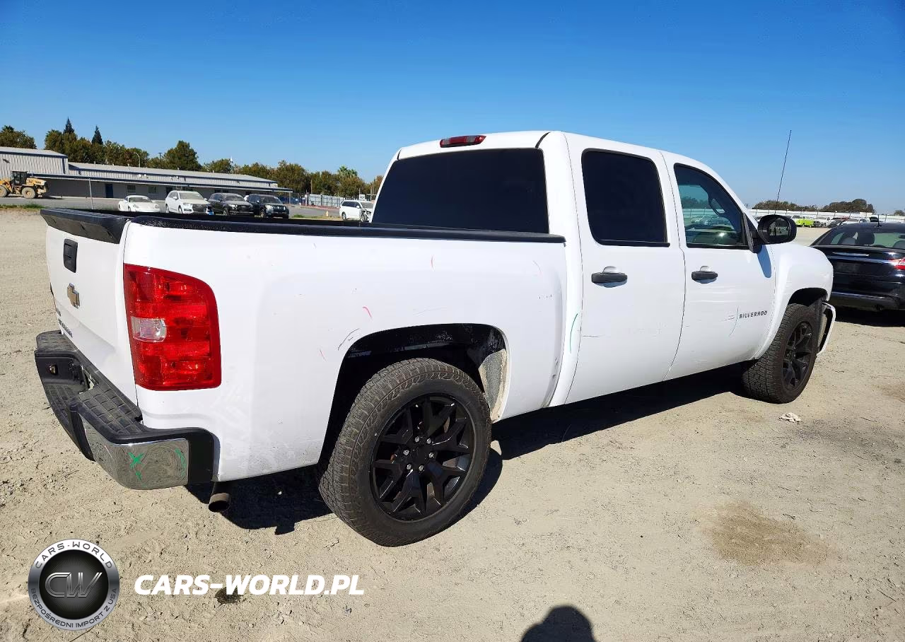 2010 Chevrolet Silverado C1500 VIN:3GCRCPEA3AG201574 - 3