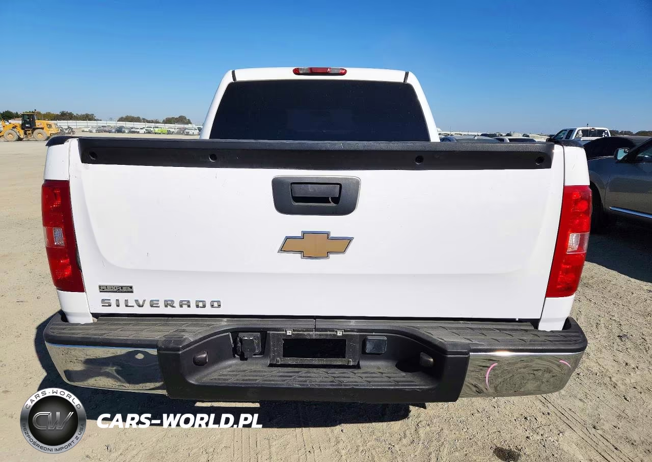 2010 Chevrolet Silverado C1500 VIN:3GCRCPEA3AG201574 - 6