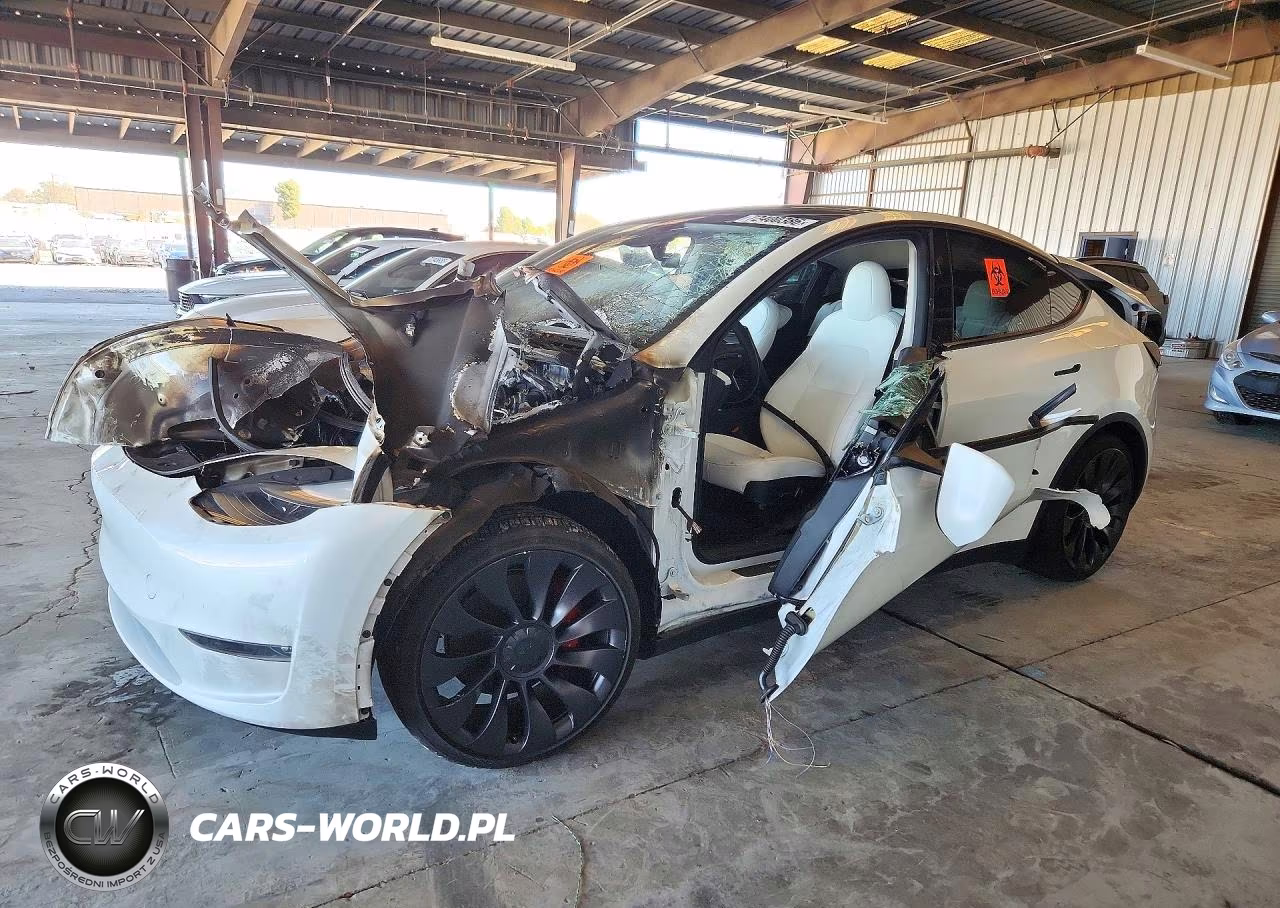 2023 Tesla Model Y VIN:7SAYGDEF6PF877674 - 1