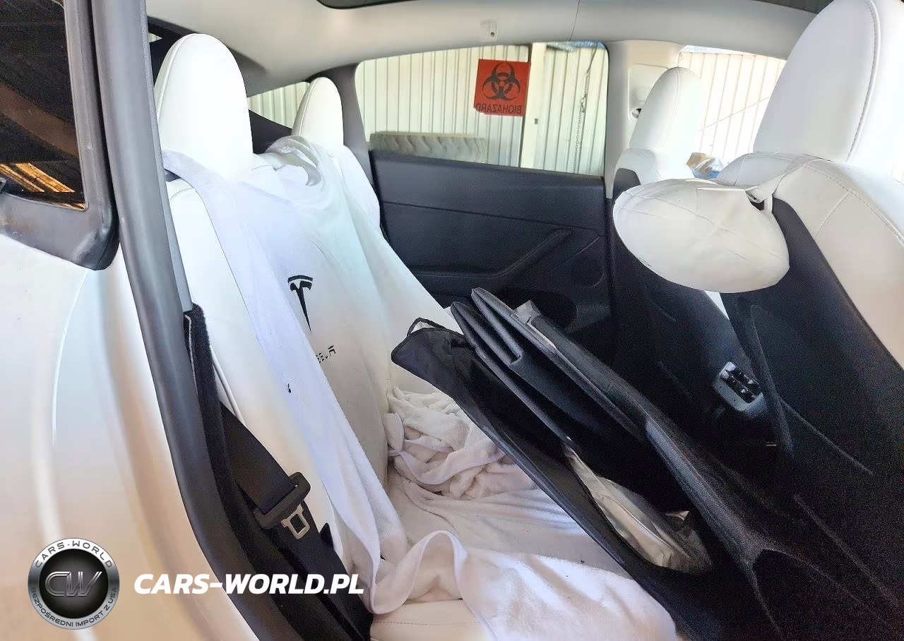 2023 Tesla Model Y VIN:7SAYGDEF6PF877674 - 10
