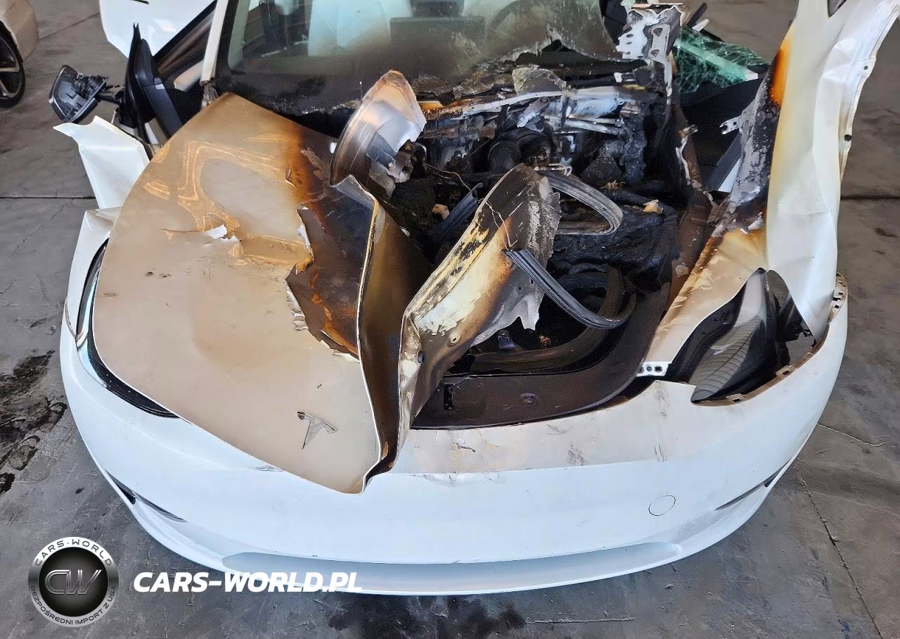 2023 Tesla Model Y VIN:7SAYGDEF6PF877674 - 11