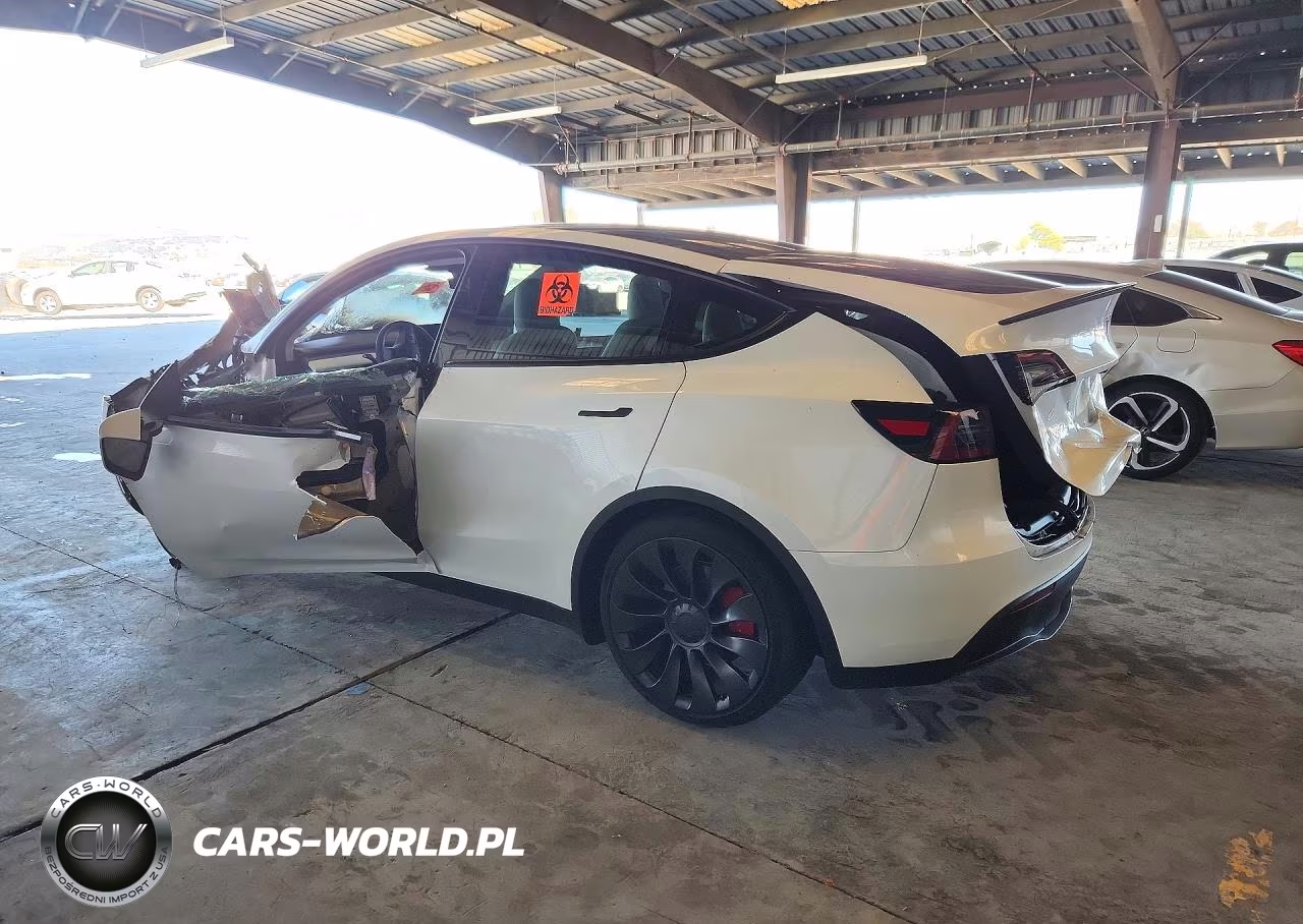 2023 Tesla Model Y VIN:7SAYGDEF6PF877674 - 2