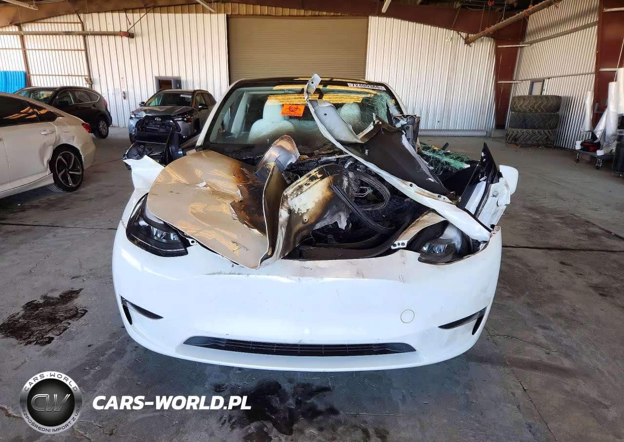 2023 Tesla Model Y VIN:7SAYGDEF6PF877674 - 5