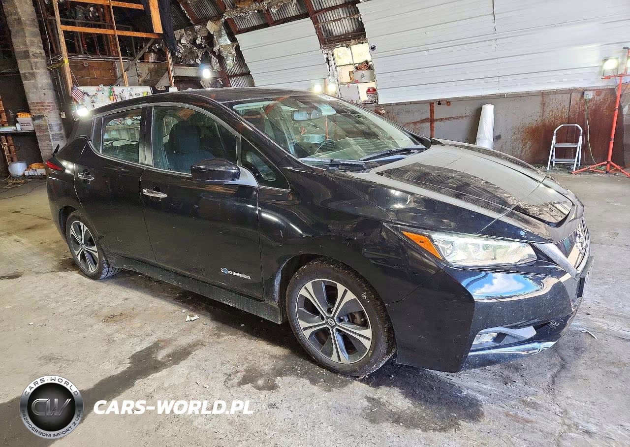 2019 Nissan Leaf Sv VIN:1N4AZ1CP9KC314519 - 4