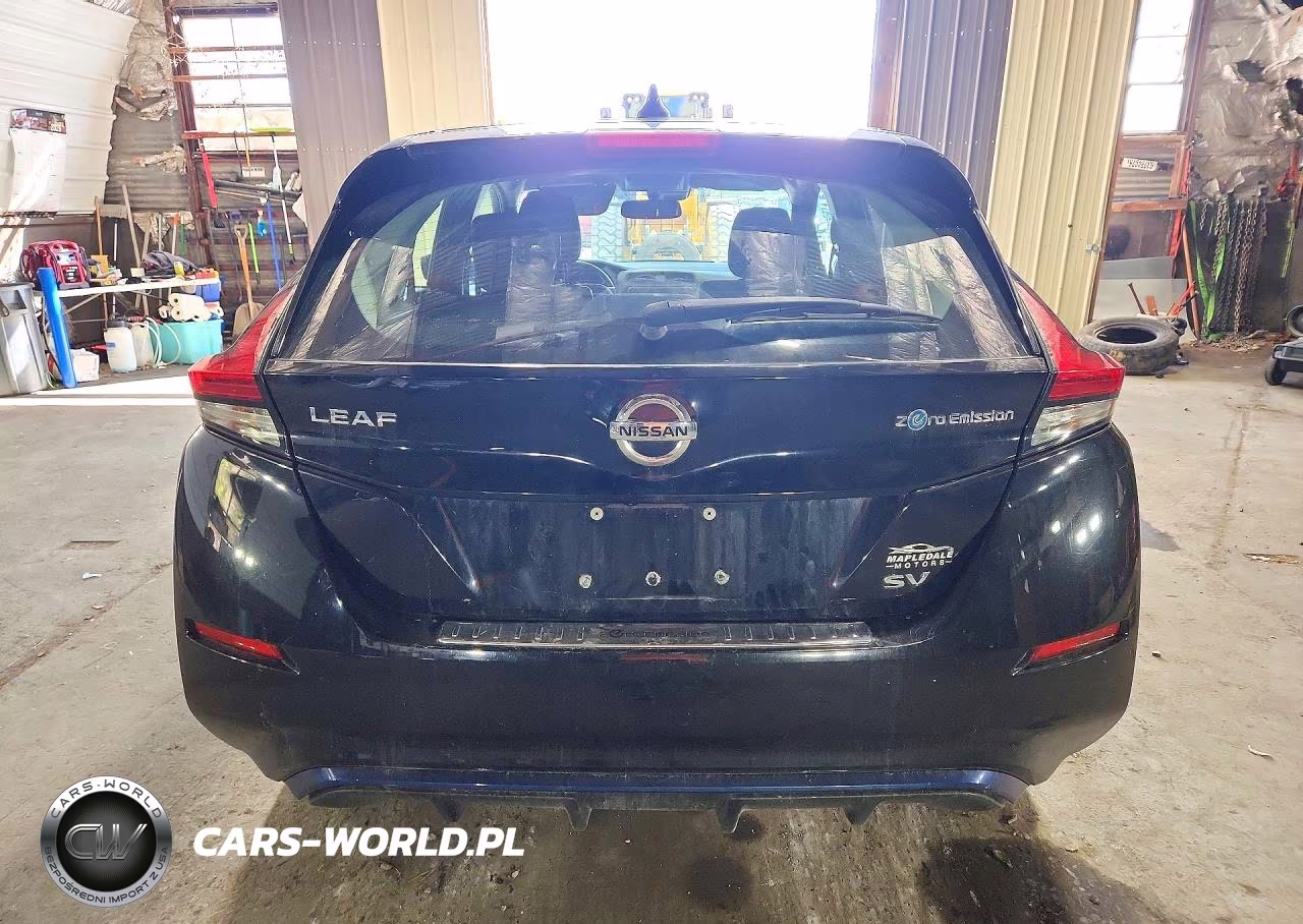 2019 Nissan Leaf Sv VIN:1N4AZ1CP9KC314519 - 6