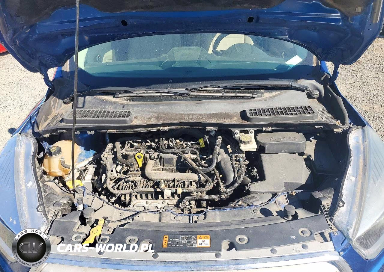 2019 Ford Escape Se VIN:1FMCU0GD7KUA06217 - 12