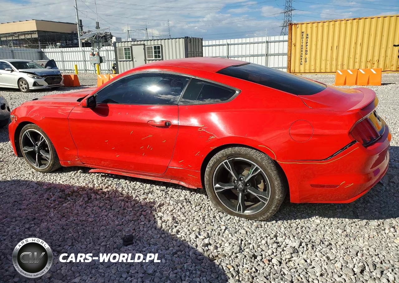 2016 Ford Mustang VIN:1FA6P8AM3G5256741 - 2