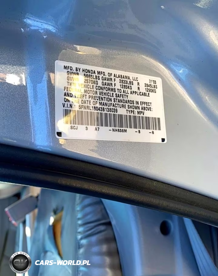 2003 Honda Odyssey Exl VIN:5FNRL18043B138039 - 10
