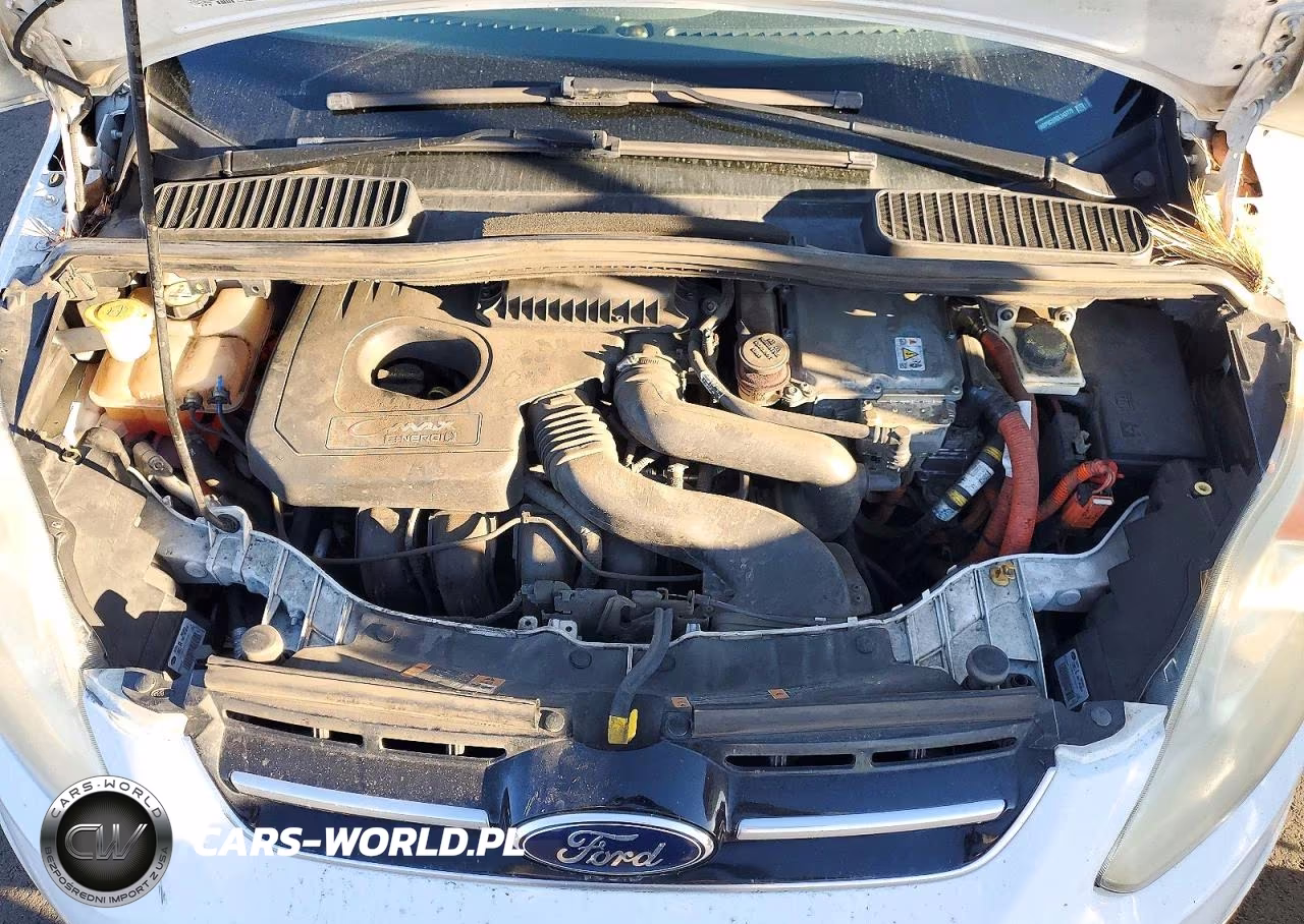 2013 Ford C-Max Premium VIN:1FADP5CU3DL543779 - 11