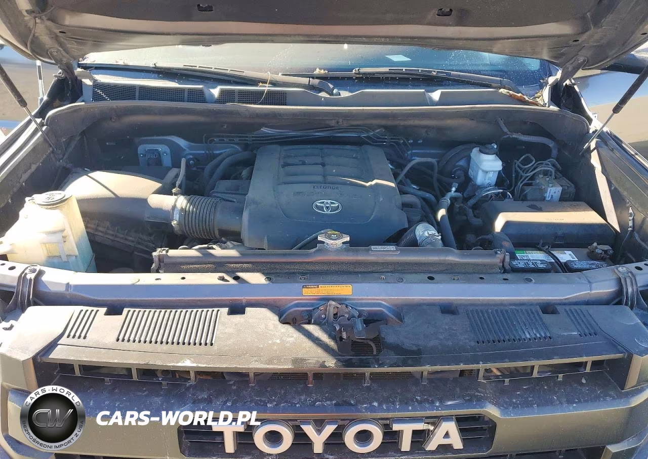 2016 Toyota Tundra Platinum VIN:5TFAY5F12GX503928 - 11