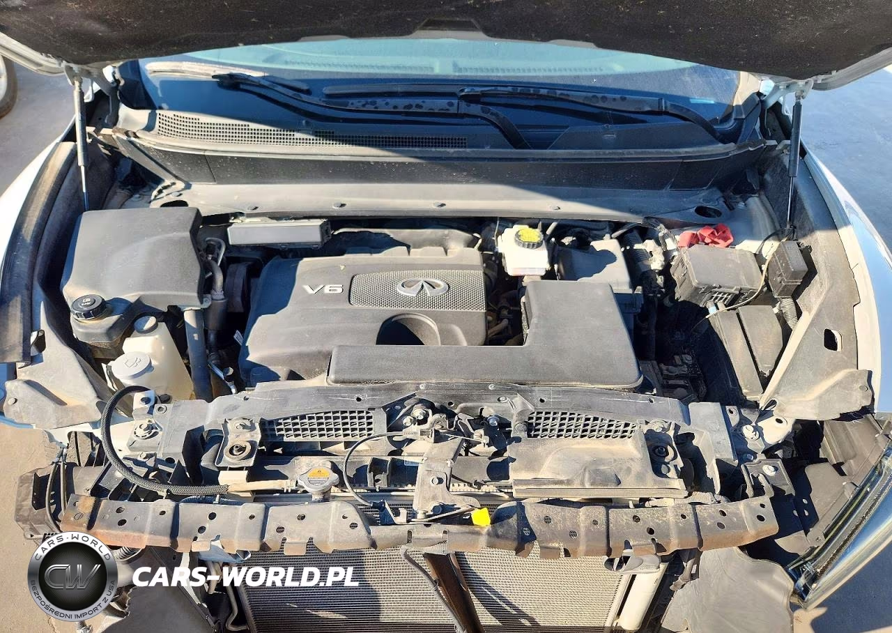 INFINITI QX60 LUXE VIN:5N1DL0MN1KC556586 - 12