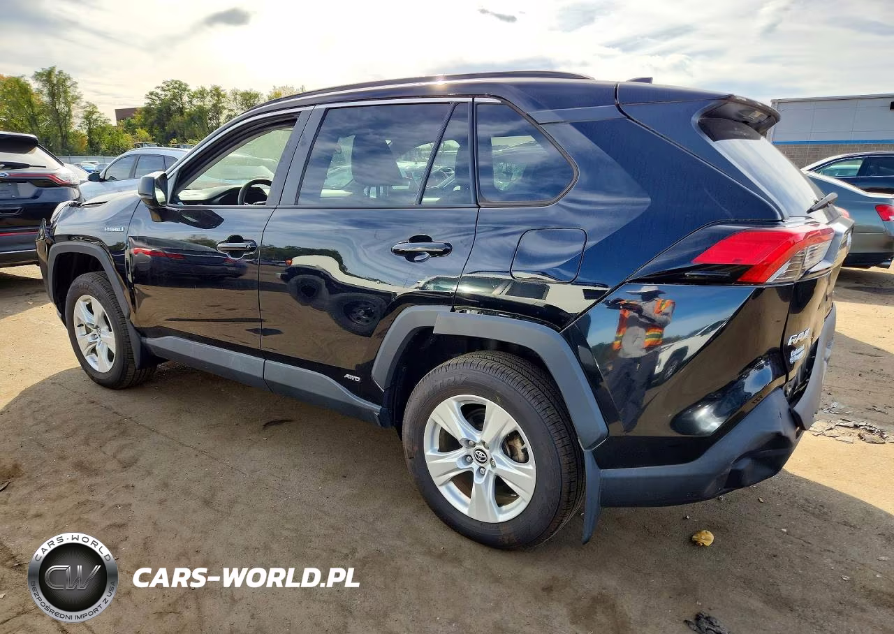 2021 Toyota Rav4 Le VIN:4T3L6RFV0MU009222 - 2