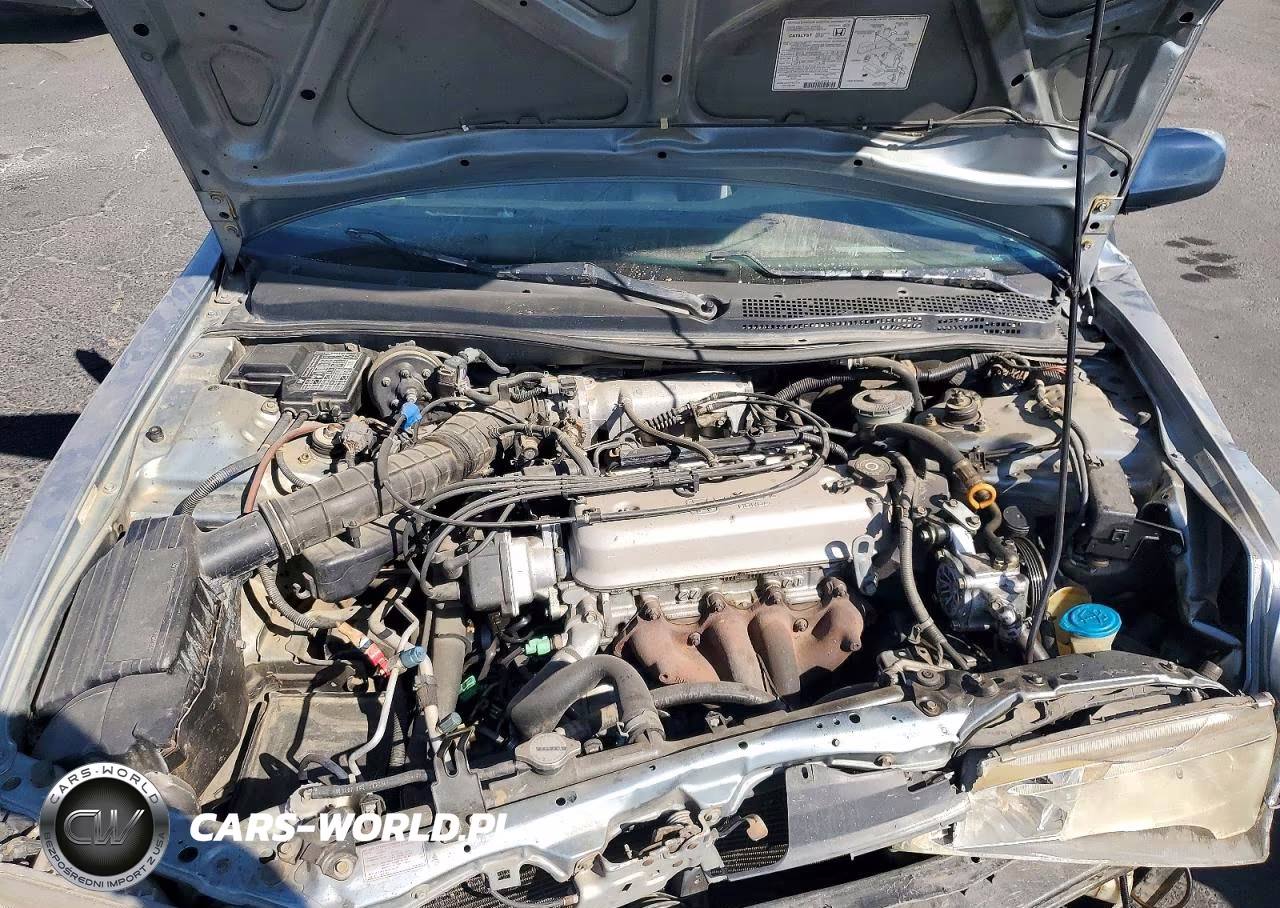 1996 Honda Accord Lx VIN:1HGCD5630TA014013 - 11