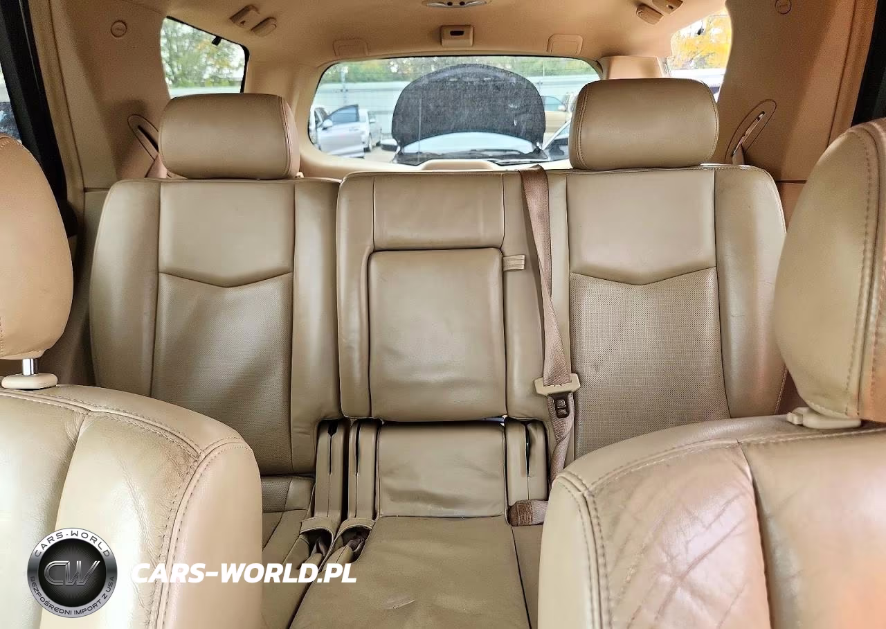 2009 Cadillac Srx VIN:1GYEE437090119309 - 10