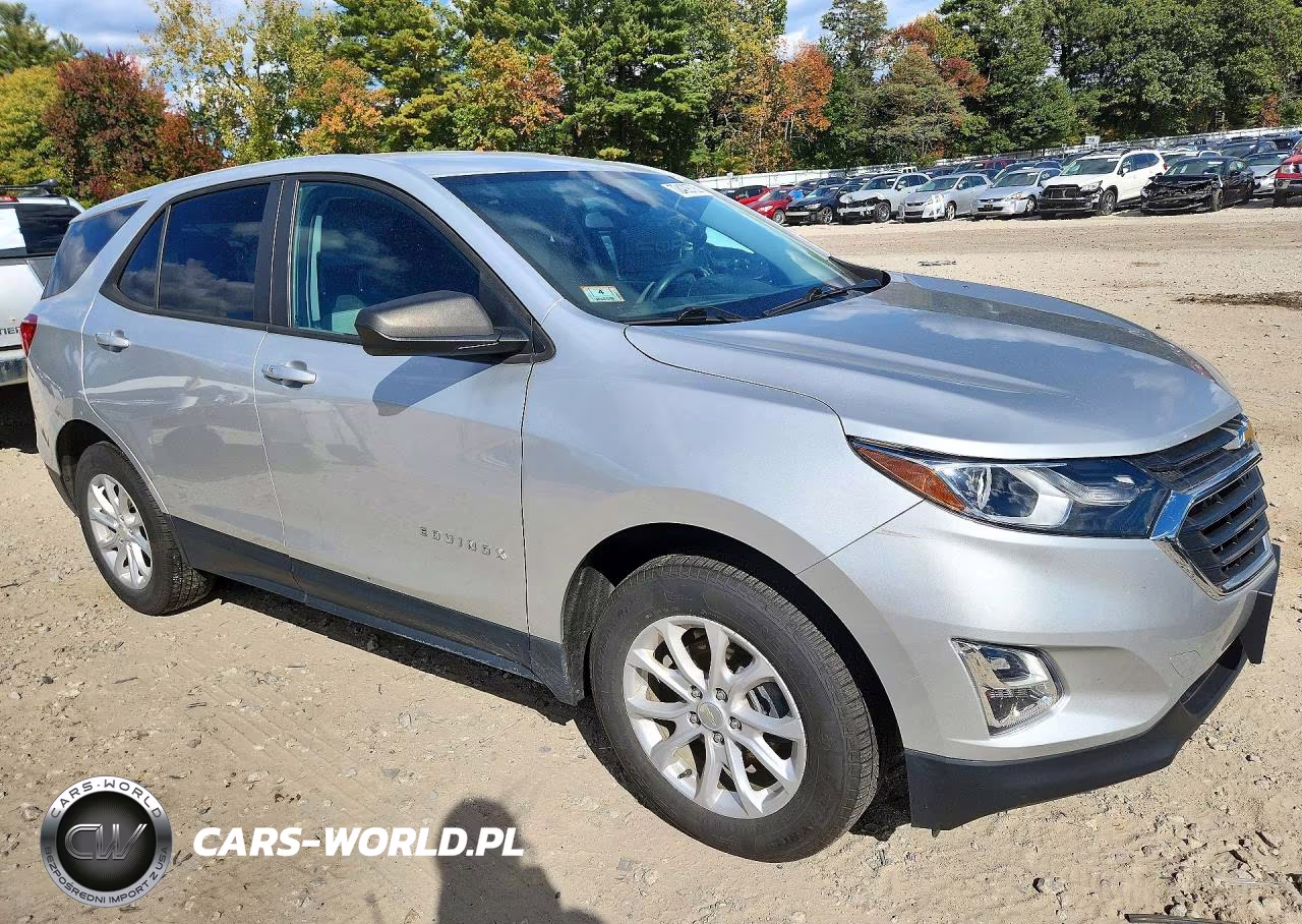 2020 Chevrolet Equinox Ls VIN:3GNAXSEV7LS557346 - 4