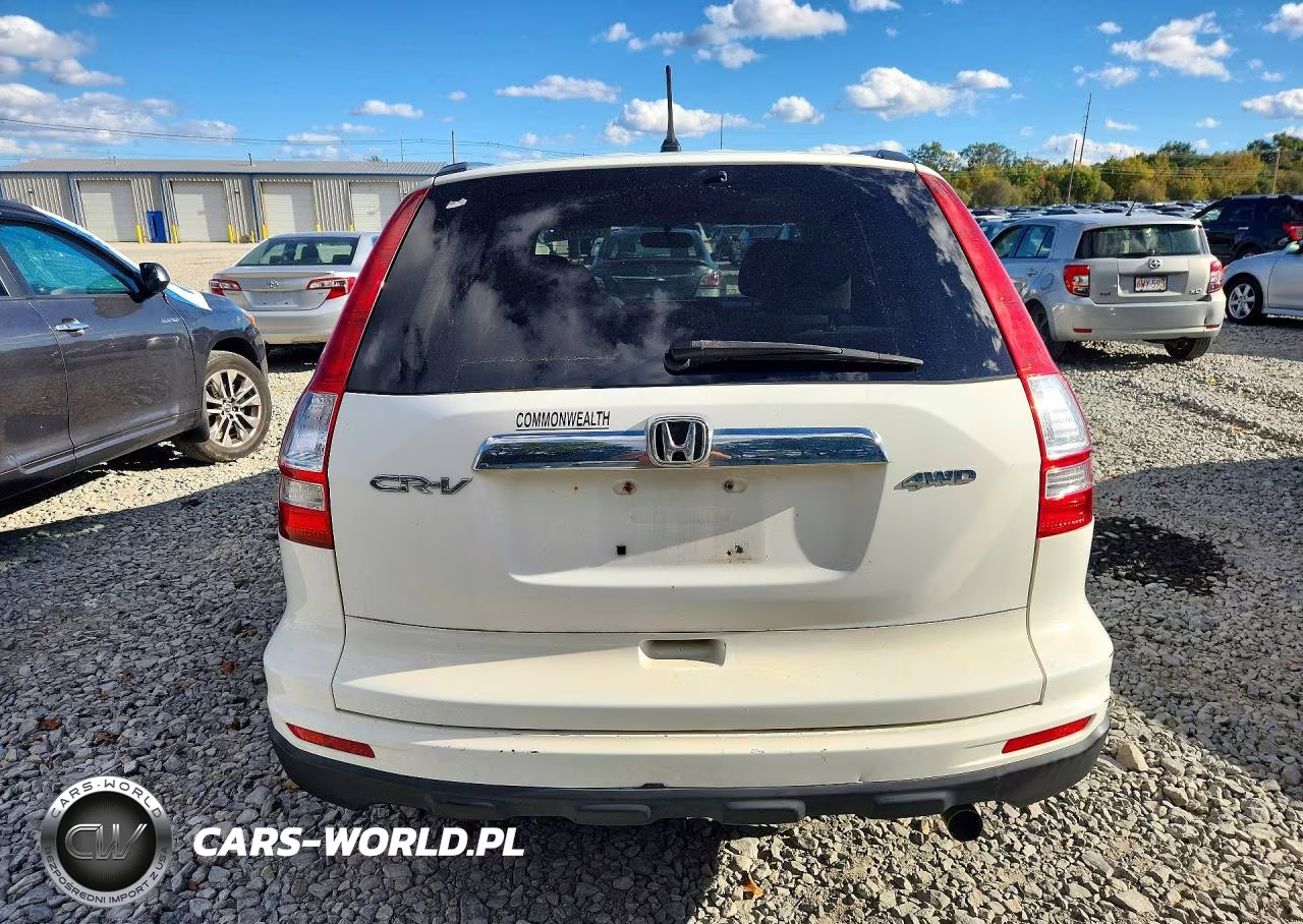 2010 Honda Cr-V Ex VIN:JHLRE4H55AC007660 - 6