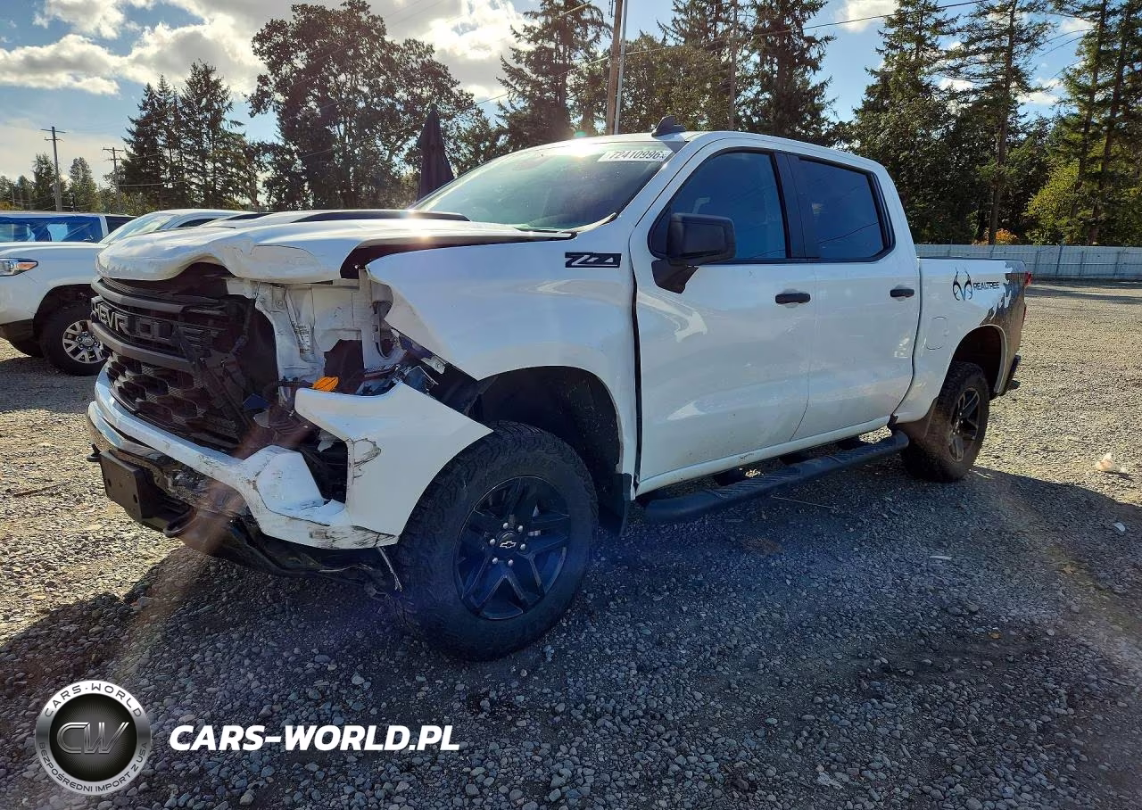 2024 Chevrolet Silverado K1500 Trail Boss Custom VIN:3GCUDCED5RG316702 - 1