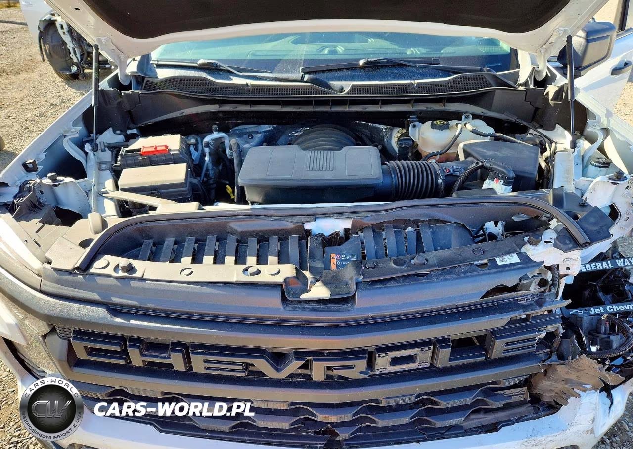 2024 Chevrolet Silverado K1500 Trail Boss Custom VIN:3GCUDCED5RG316702 - 11