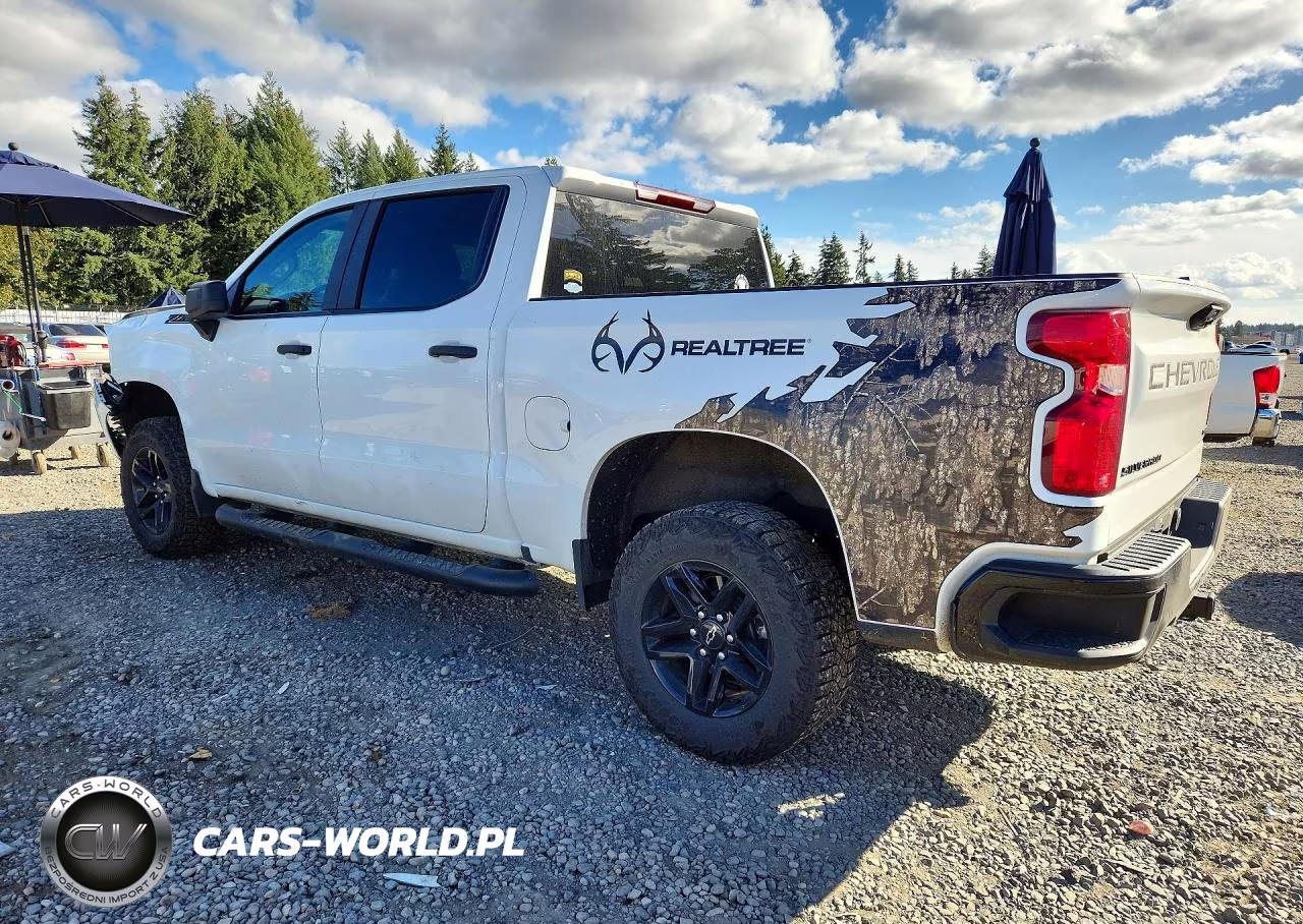 2024 Chevrolet Silverado K1500 Trail Boss Custom VIN:3GCUDCED5RG316702 - 2