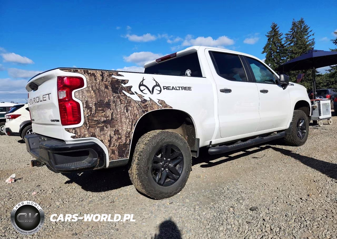 2024 Chevrolet Silverado K1500 Trail Boss Custom VIN:3GCUDCED5RG316702 - 3