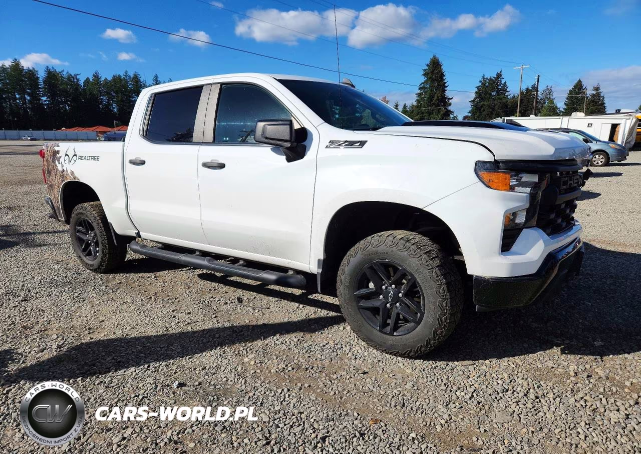 2024 Chevrolet Silverado K1500 Trail Boss Custom VIN:3GCUDCED5RG316702 - 4