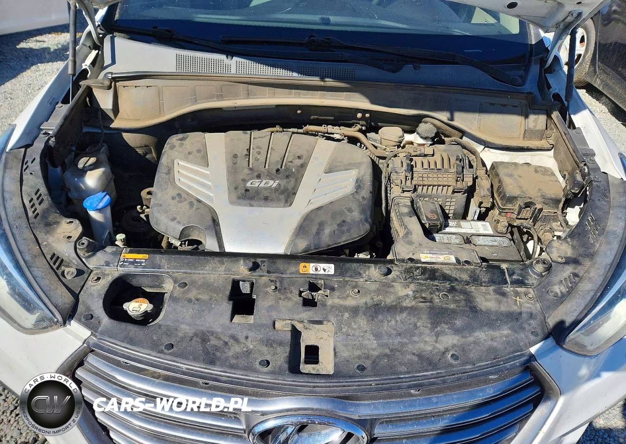 2019 Hyundai Santa Fe Xl Se VIN:KM8SM4HFXKU298951 - 12