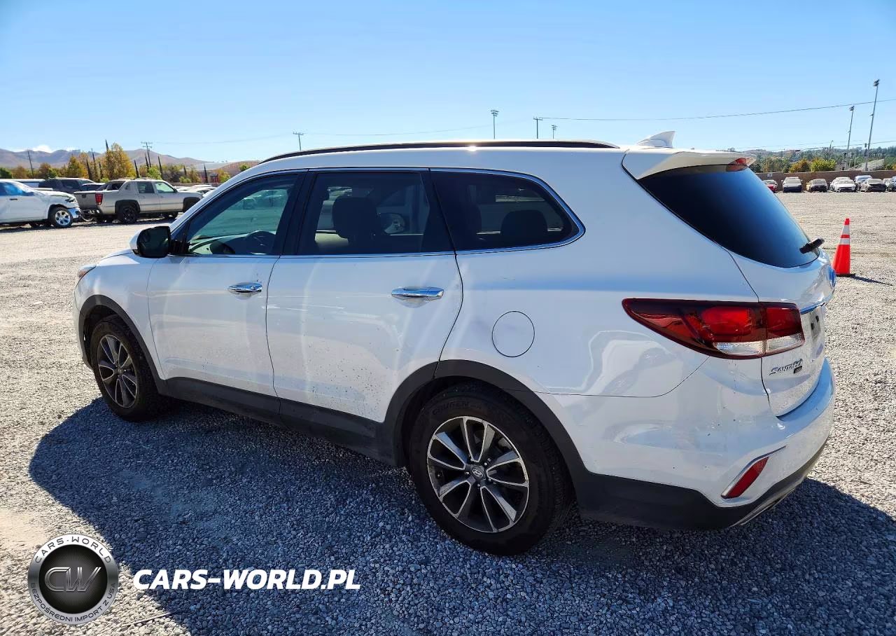 2019 Hyundai Santa Fe Xl Se VIN:KM8SM4HFXKU298951 - 2