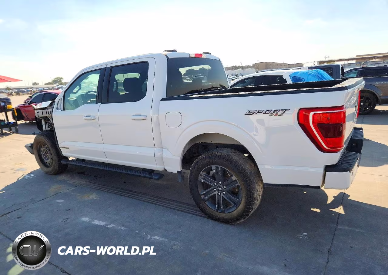 2021 FORD F-150 XLT VIN:1FTFW1EDXMFC63562 - 2