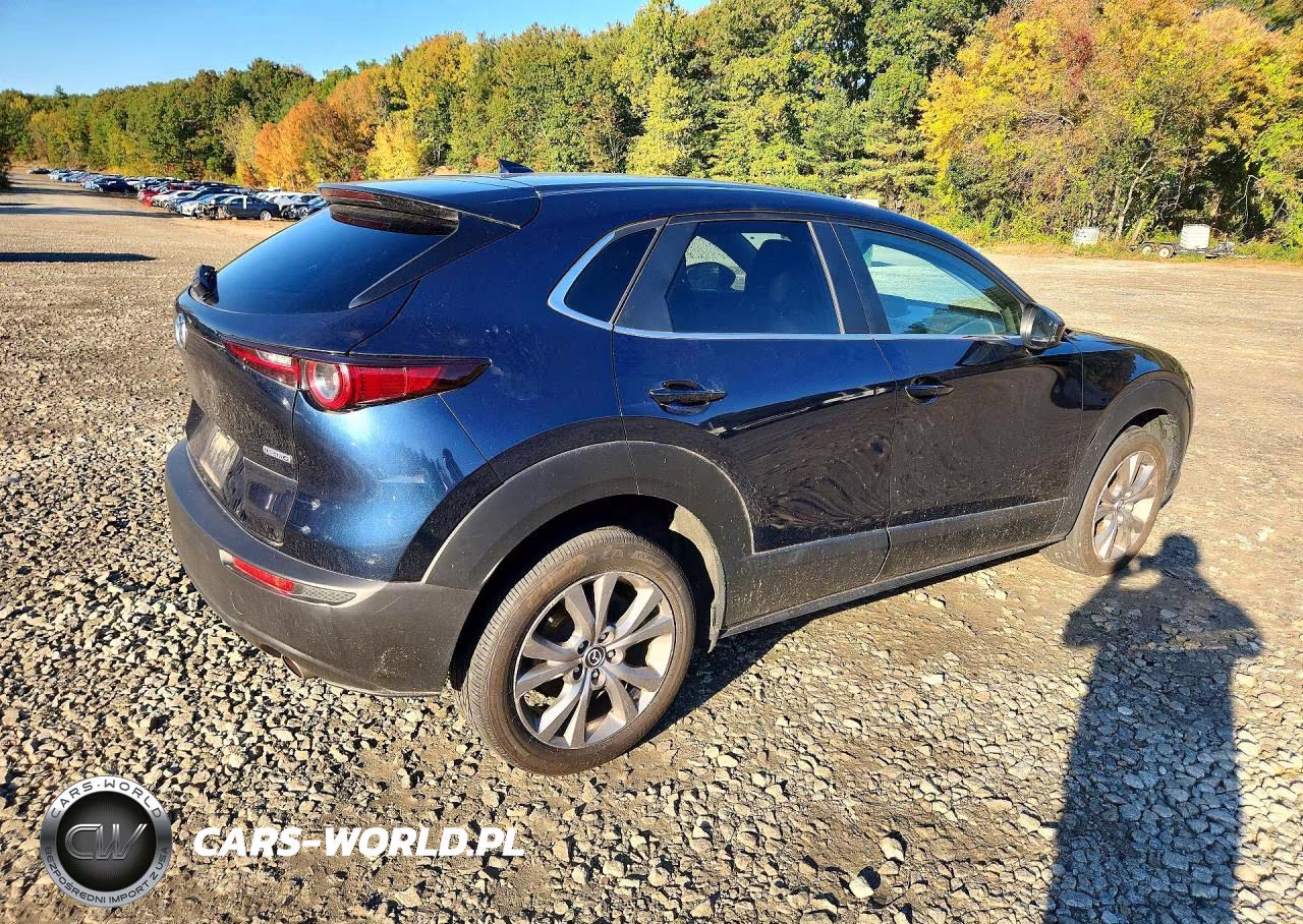 2020 Mazda Cx-30 Preferred VIN:3MVDMBDL5LM111228 - 3