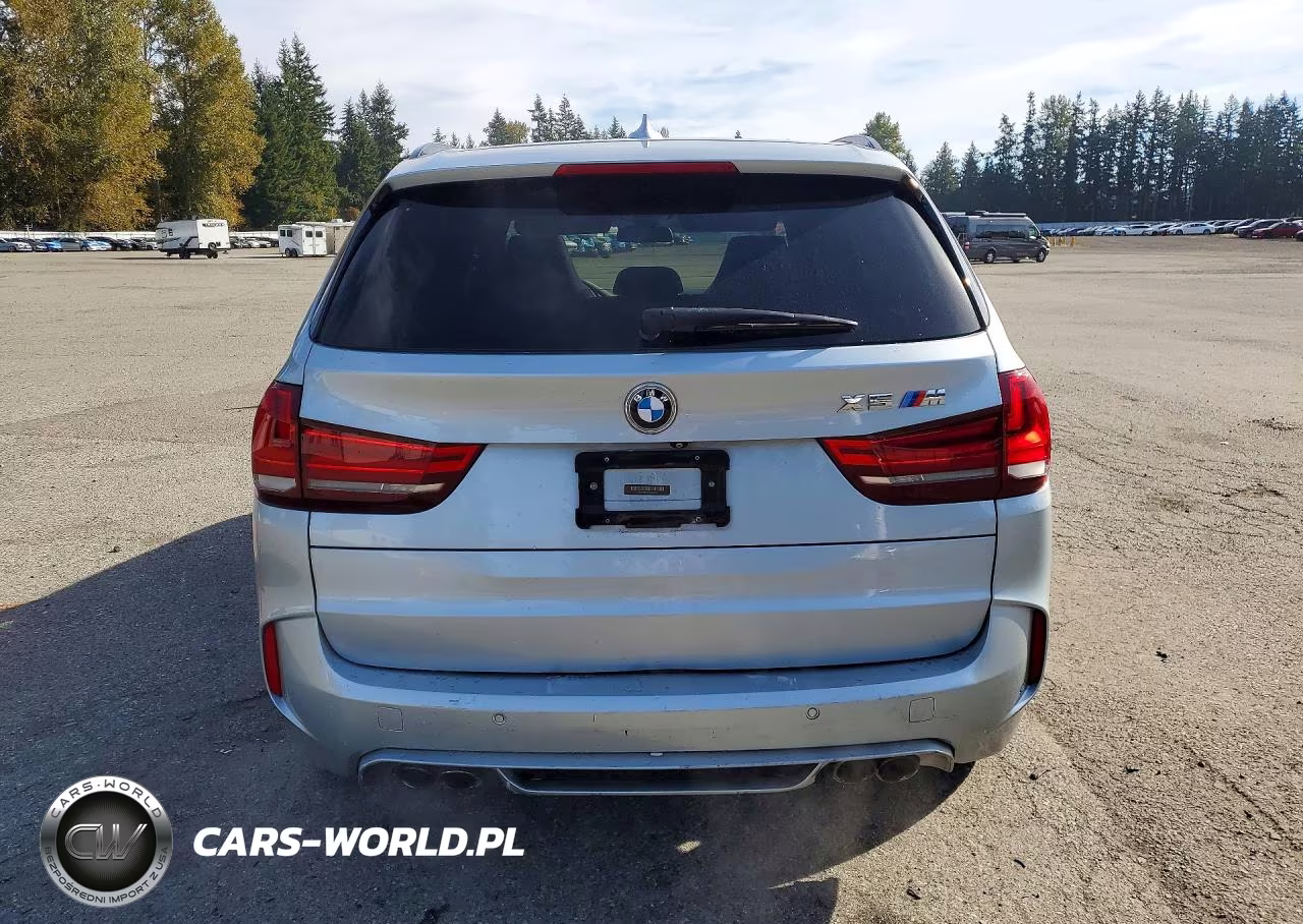 2015 BMW X5 M VIN:5YMKT6C56F0C88832 - 6