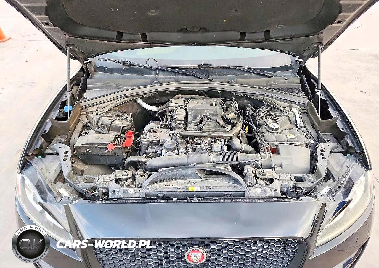 2018 Jaguar F-Pace Premium VIN:SADCJ2FX2JA266081 - 12