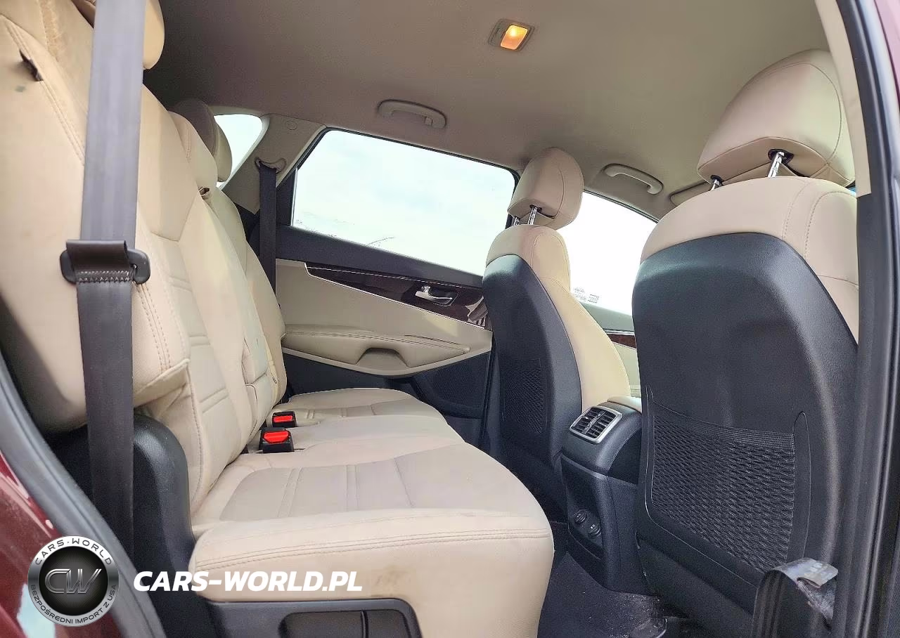 2017 Kia Sorento Lx V6 VIN:5XYPGDA5XHG224622 - 11