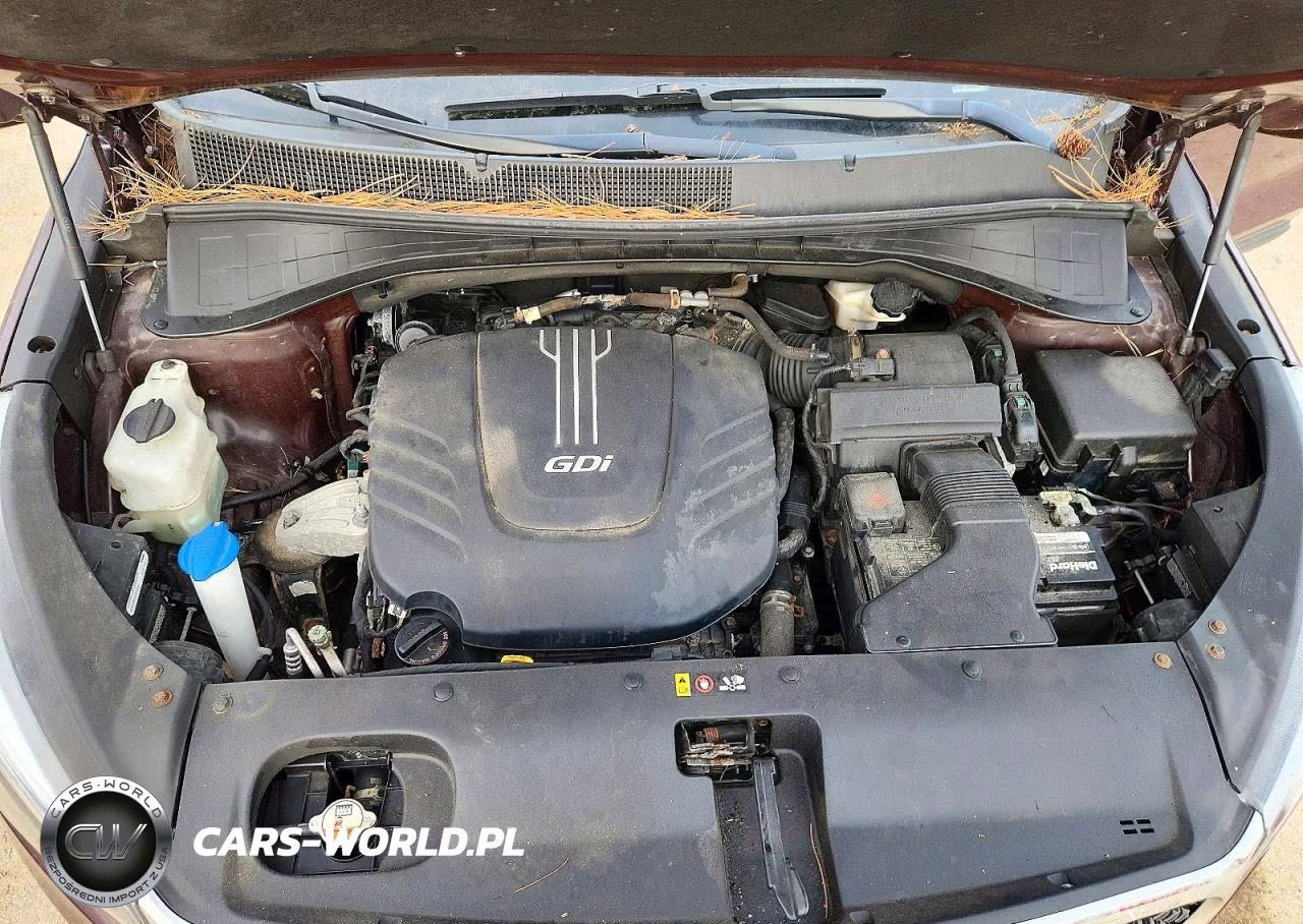 2017 Kia Sorento Lx V6 VIN:5XYPGDA5XHG224622 - 12