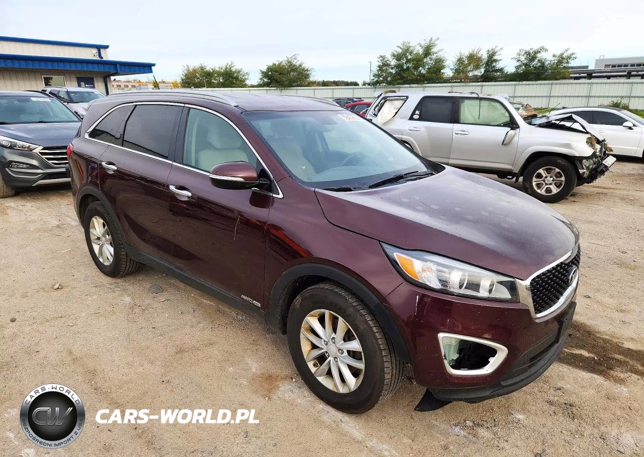 2017 Kia Sorento Lx V6 VIN:5XYPGDA5XHG224622 - 4